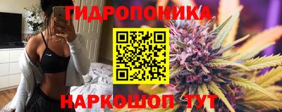 apvp Тулун