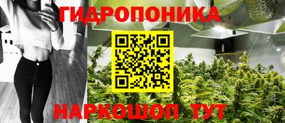 стафф Туймазы