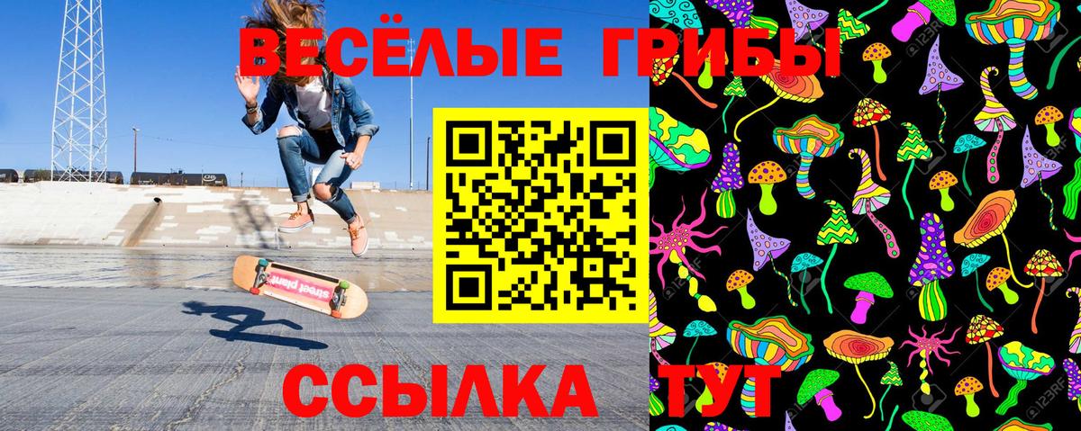 Михайловск  Псилоцибиновые грибы мицелий  Вход с VPN 