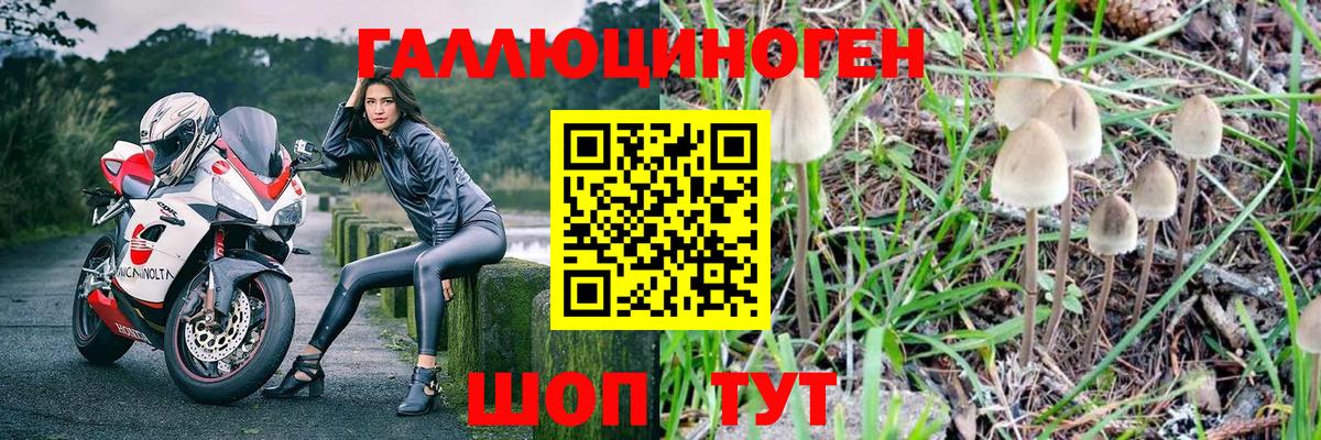 Галлюциногенные грибы MAGIC MUSHROOMS Михайловск